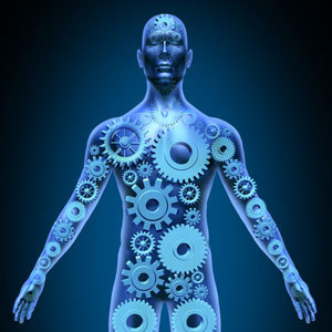 La proteina huntingtina mutante viene prodotta in tutto il corpo, non solo nel cervello. Sempre più spesso, gli scienziati stanno guardando al di fuori del cervello per studiare e persino cercare di curare la malattia di Huntington.  