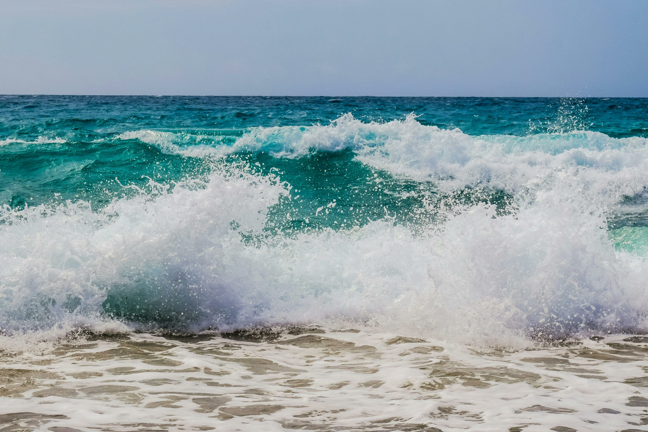 Agosto 2025: Questo mese nella ricerca sulla malattia di Huntington
