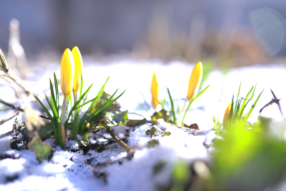 Marzo 2026: questo mese nella ricerca sulla malattia di Huntington