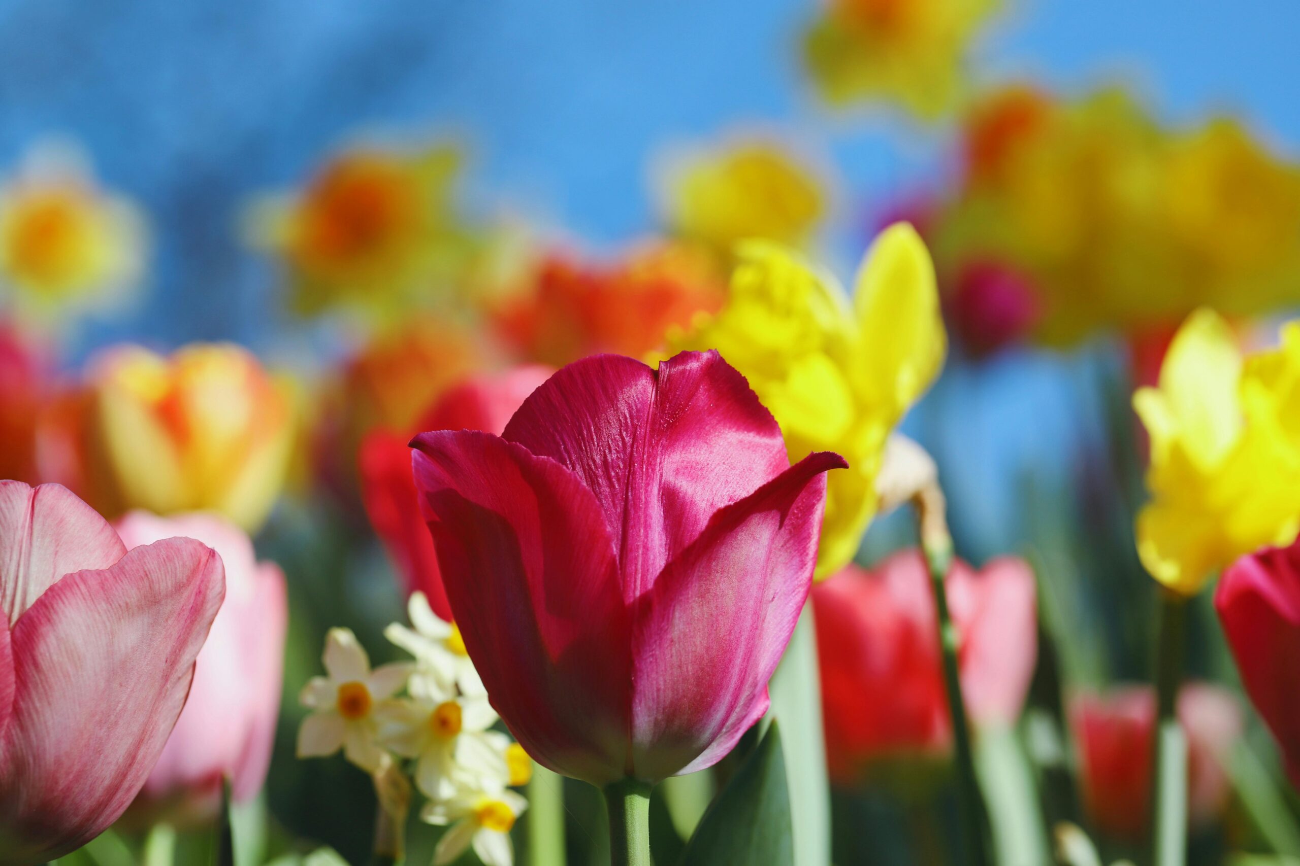Aprile 2026: questo mese nella ricerca sulla malattia di Huntington